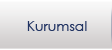 kurumsal